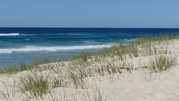 North Stradbroke Island Main Beach Düne Australien