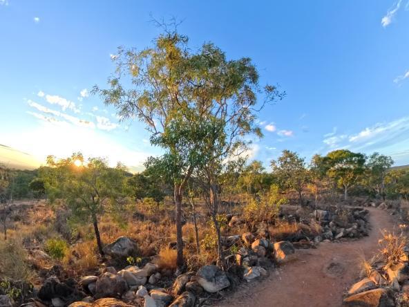 Undara Wildlife at Sunset 