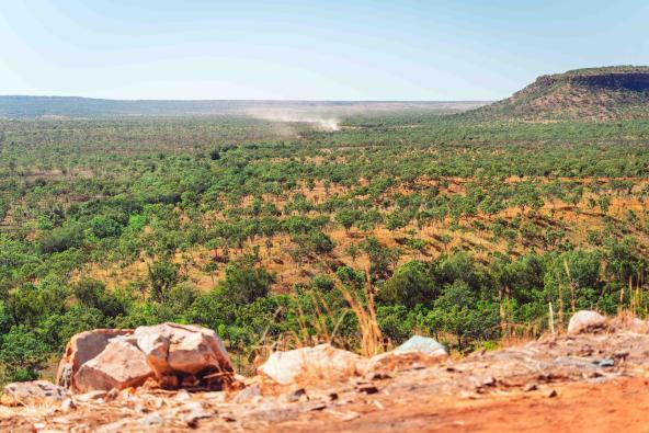 Blick über hügelige Savannenlandschaft mit Staubwolke auf der Gibb River Road