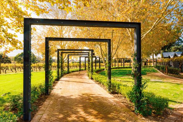 Ziegelweg mit Rankbögen und herbstlich gefärbten Bäumen am Weingut bei Perth
