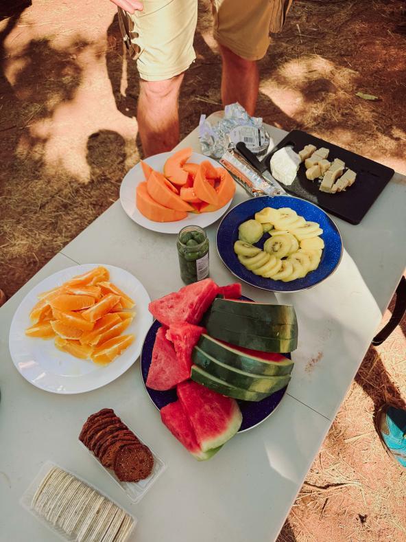 Picknicktisch mit frischem Obst, Käse und Crackern im Schatten