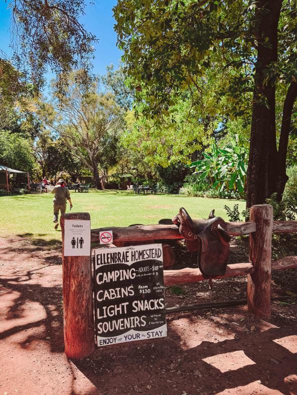 Holzschild am Eingang der Ellenbrae Homestead mit Informationen zu Camping, Cabins und Snacks unter schattigen Bäumen
