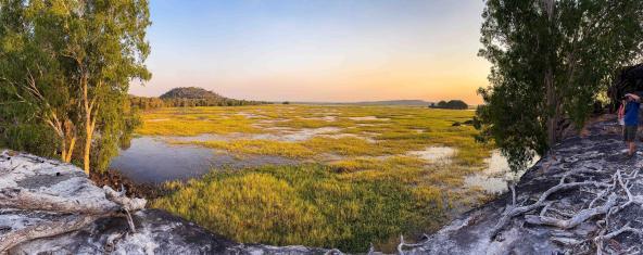 Weitläufige Feuchtlandschaft mit gelben Grasflächen, flachem Wasser und einem niedrigen Felsrücken im Hintergrund.