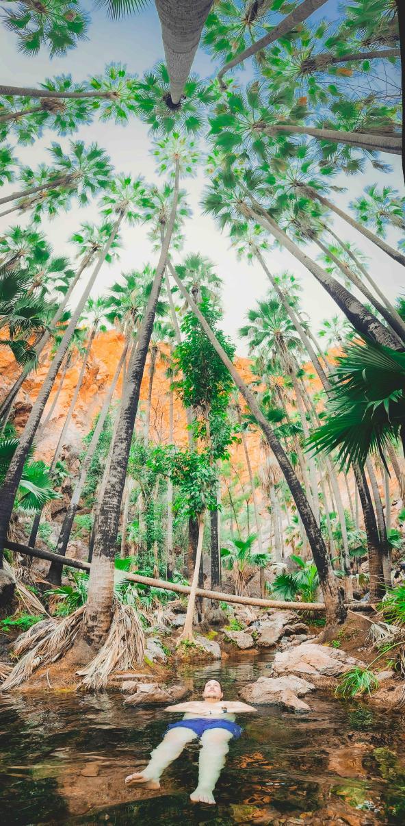Person entspannt in den warmen Quellen der Zebedee Hot Springs, umgeben von hohen Palmen und roten Felswänden.