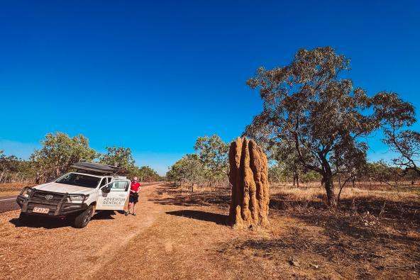 Großer Termitenhügel im Northern Territory neben einem geparkten 4WD von Adventure Rentals, mit einer Person daneben und Buschlandschaft im Hintergrund.