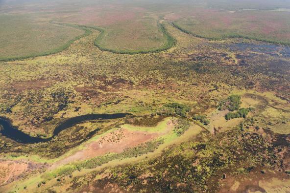 Luftaufnahme einer weitläufigen Landschaft mit einem dunklen, sich windenden Fluss und großflächigen grünen und braunen Vegetationszonen.