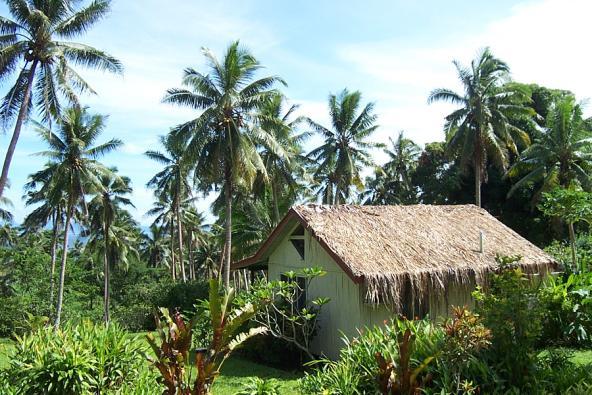 Dorf Fiji Palmen Südsee
