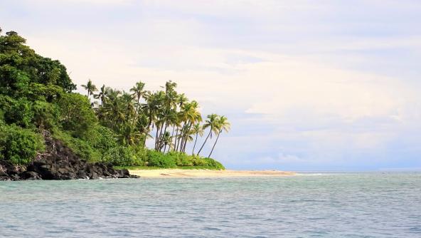 Palmeninsel Fiji Südsee