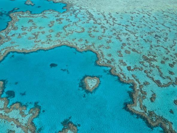 Heart Reef