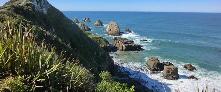 Nugget Point Leuchtturm Neuseeland Südinsel 