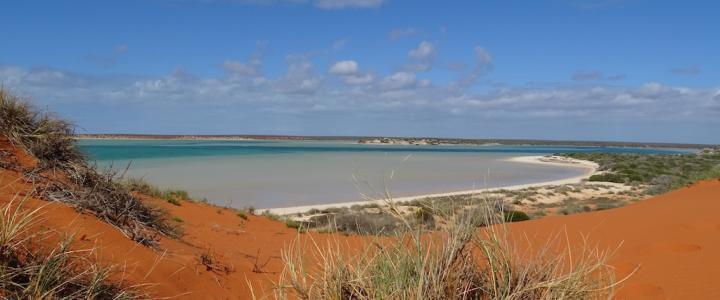 Westaustralien Korallenküste Francois Peron Nationalpark Strand