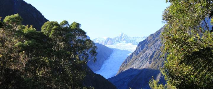 Franz Josef Gletscher Südinsel Neuseeland 