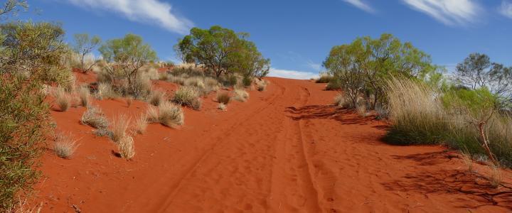 Rotes Zentrum Northern Territory Roter Sand Piste