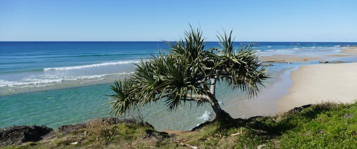 Reiseblog Australien Queensland North Stradbroke Island Strand bei Brisbane