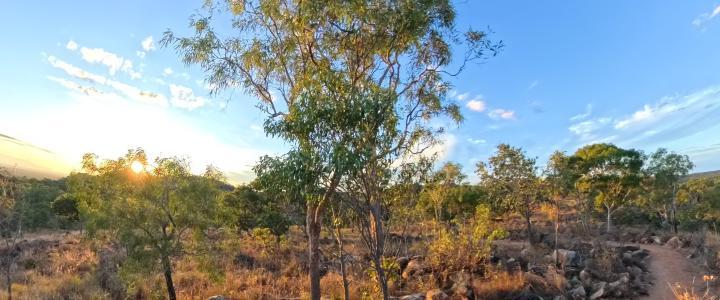Undara Wildlife at Sunset 