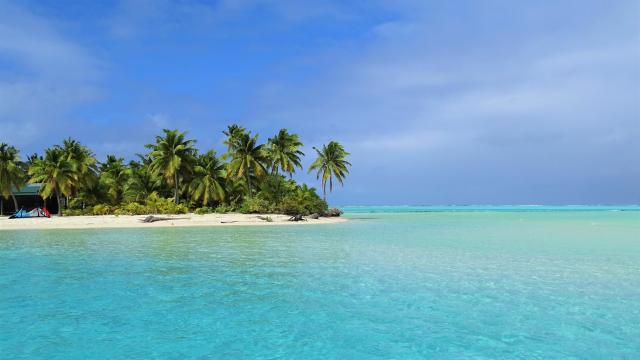 Cook Inseln entdecken Lagune Aitutaki Palmen