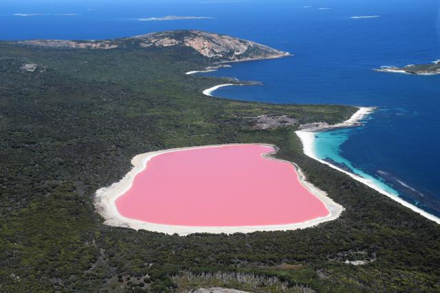 Reisebausteine Australien Pink Lake
