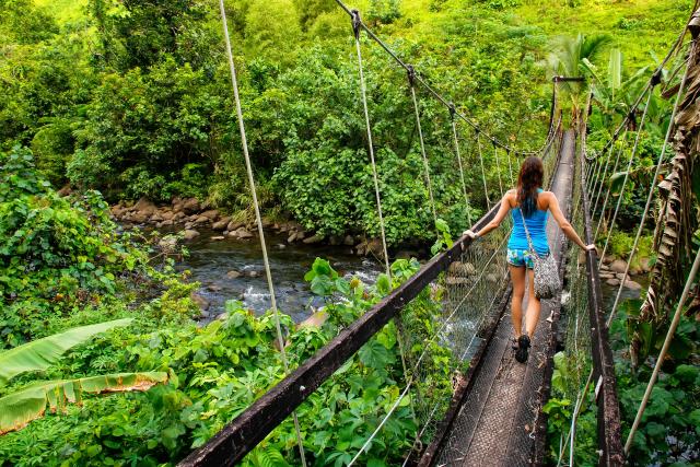 Ausflüge Fiji Aktivitäten Südsee Hängebrücke