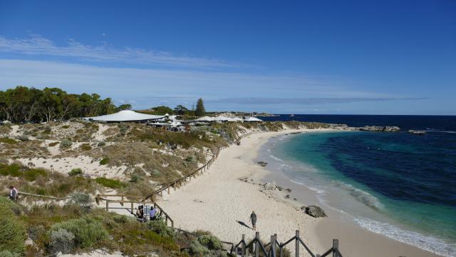 Rottnest Island Strand Discovery Park Glamping Westaustralien Australien