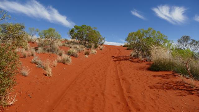 Kontakt Australia Plus Reisen Australienspezialist rote Erde down under