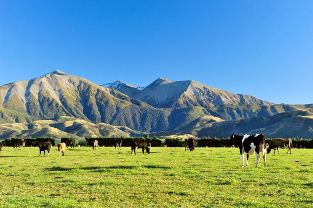 Neuseeland entdecken Berge Südinsel Südalpen