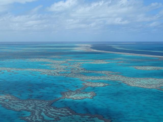 Tauchreisen Australien Great Barrier Reef Aerial