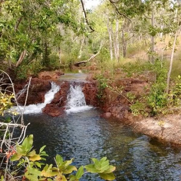 Litchfield Nationalpark