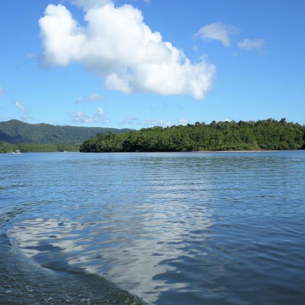 Daintree Nationalpark Queensland Australien entdecken