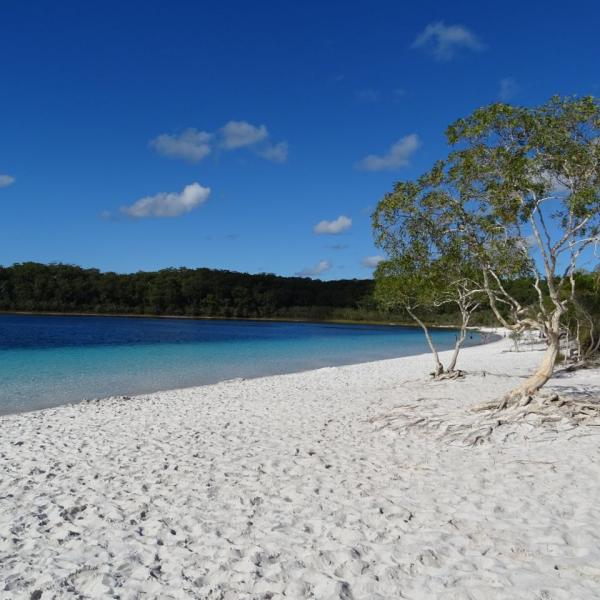Queensland Fraser Island Lake Mackenzie