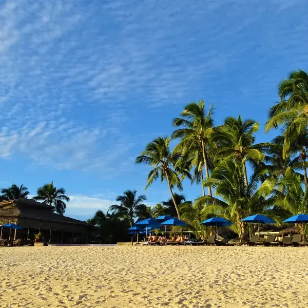 Rarotonga Palmenstrand Cook Inseln Südsee