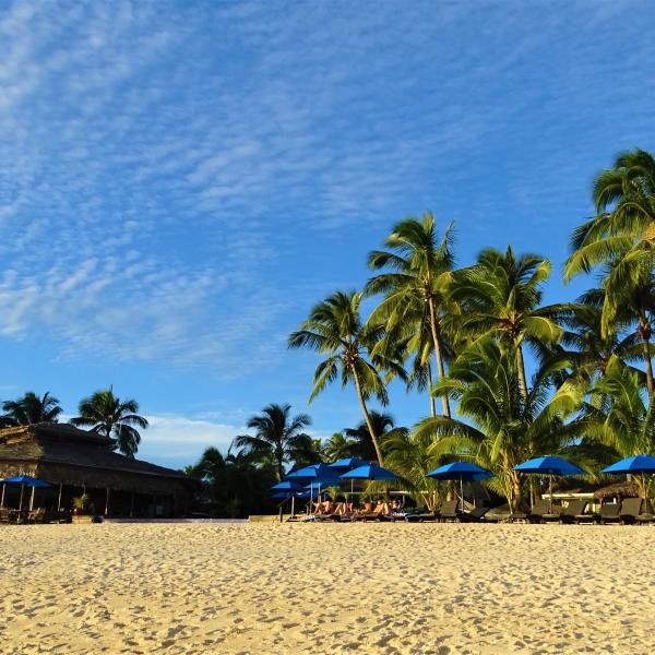 Rarotonga Palmenstrand Cook Inseln Südsee