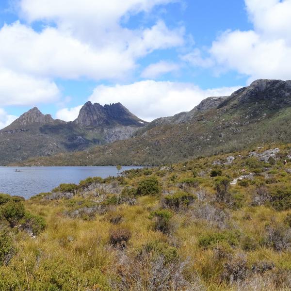 Tasmanien Cradle Mountain Nationalpark Australien entdecken