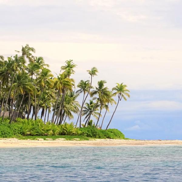 Fiji Insel Palmenstrand Reiseangebote