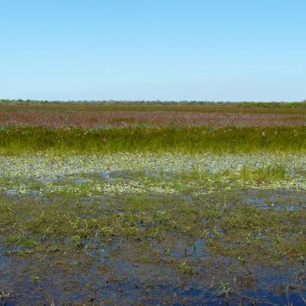 Kakadu Nationalpark Northern Territory Australien entdecken