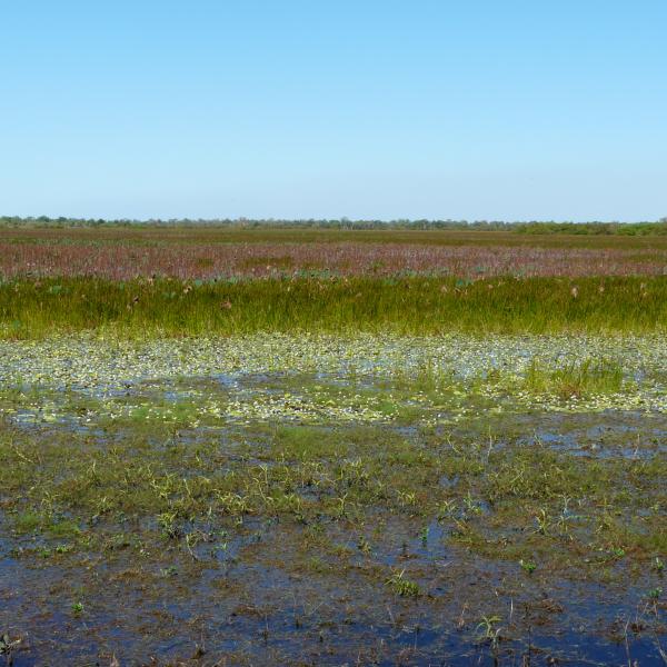 Kakadu Nationalpark Northern Territory Australien entdecken