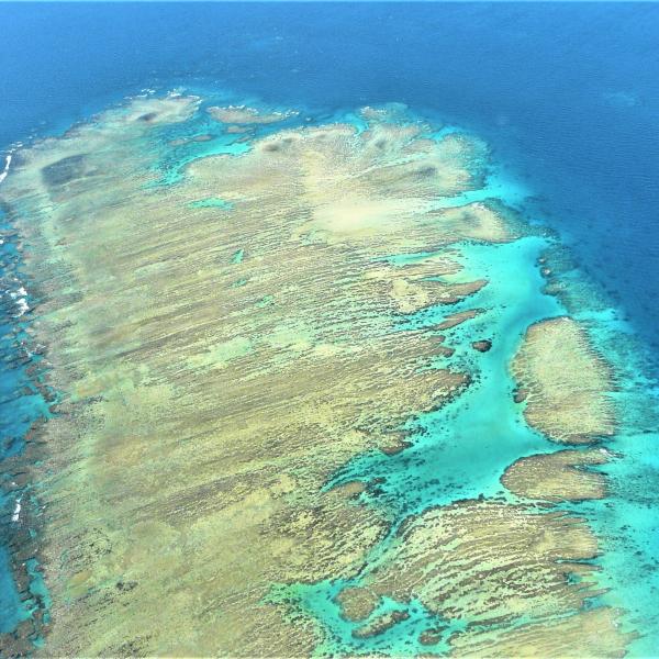 Südsee entdecken Fiji Bula Inseln im Korallenmeer