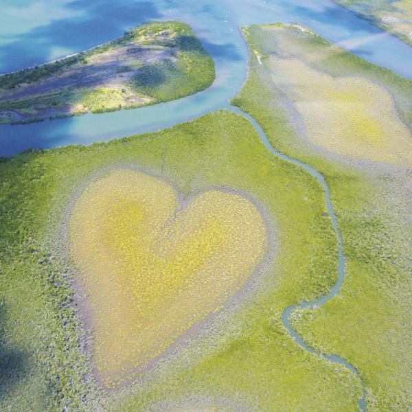 Neukaledonien Südsee Herz von Voh Luftbild