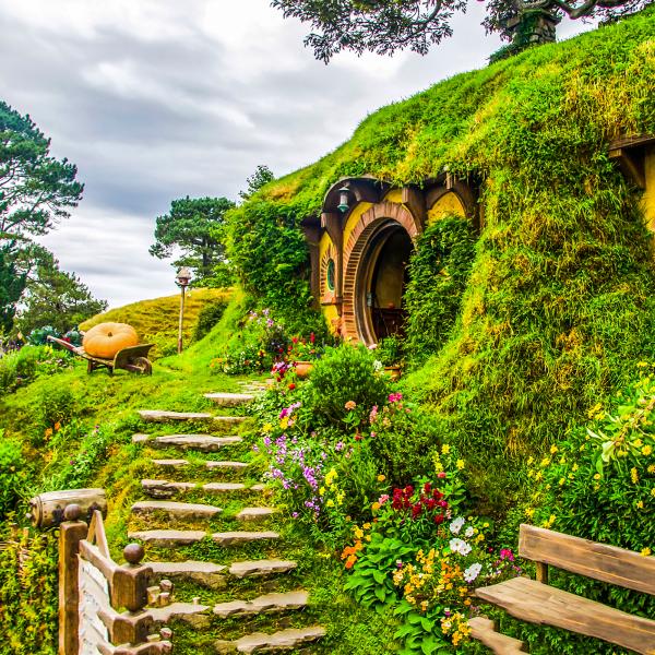 Ausflüge Hobbiton Neuseeland