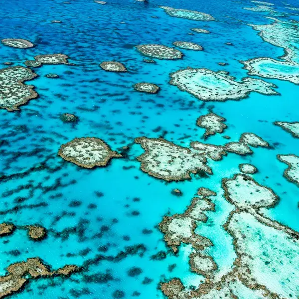 Great Barrier Reef Australien Luftbild