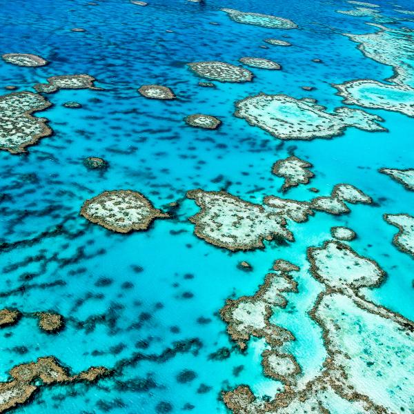 Great Barrier Reef Australien Luftbild