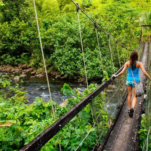 Ausflüge Fiji Aktivitäten Südsee Hängebrücke