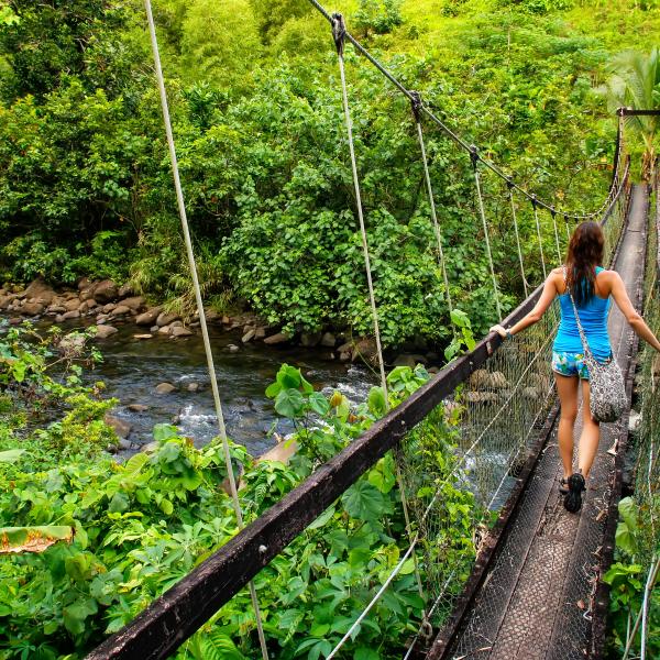 Ausflüge Fiji Aktivitäten Südsee Hängebrücke