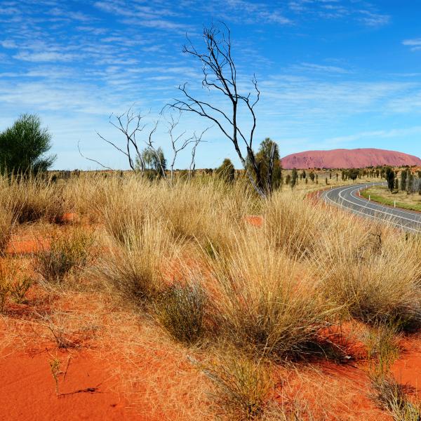 Uluru Ayers Rock Rotes Zentrum Northern Territory Australien