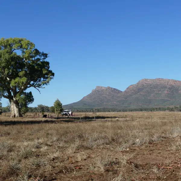 Wilpena Pound Ikara Flinders Ranges Nationalpark Südaustralien