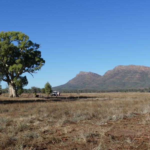 Wilpena Pound Ikara Flinders Ranges Nationalpark Südaustralien