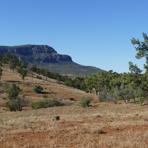 Flinders Ranges Südaustralien entdecken Rawnsley Bluff