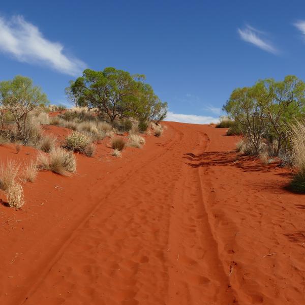 Rotes Zentrum Outback Australien Roadtrips roter Sand Düne