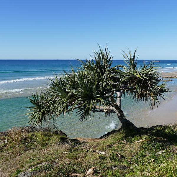 Deadmans Beach North Stradbroke Island Aquarium Queensland