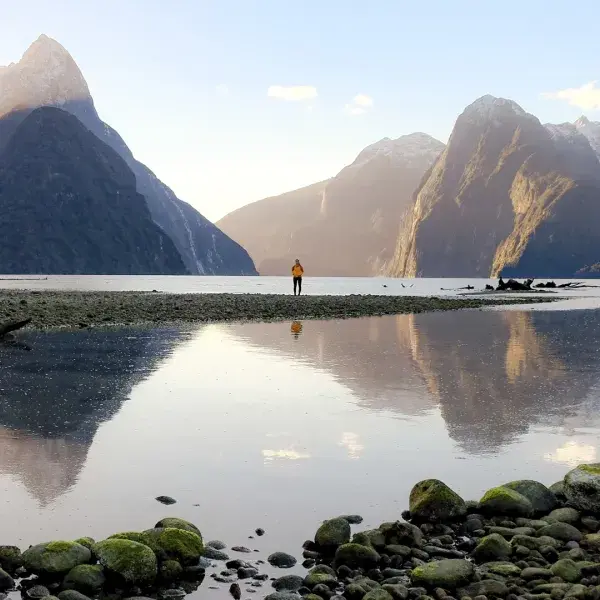 Milford Sound Fiordland Nationalpark Neuseeland