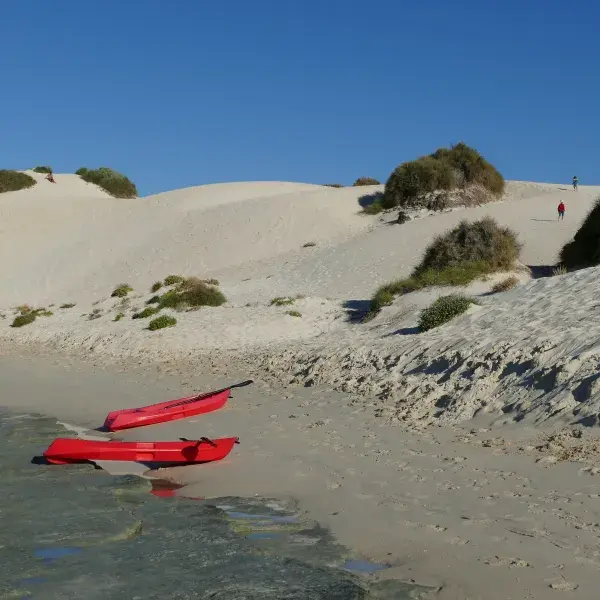 Rottnest Island Australien entdecken Sand Düne Kajak Westaustralien